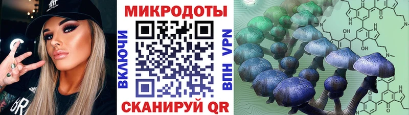 Псилоцибиновые грибы Magic Shrooms  даркнет сайт  Харабали 